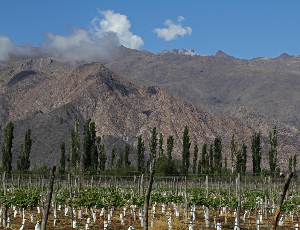 Patios De Cafayate - Wine Hotel & Restaurant 외부 사진